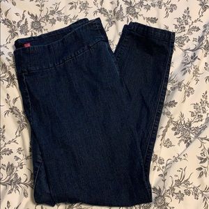 Torrid Skinny Jeans